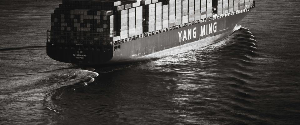 XBRL Reports